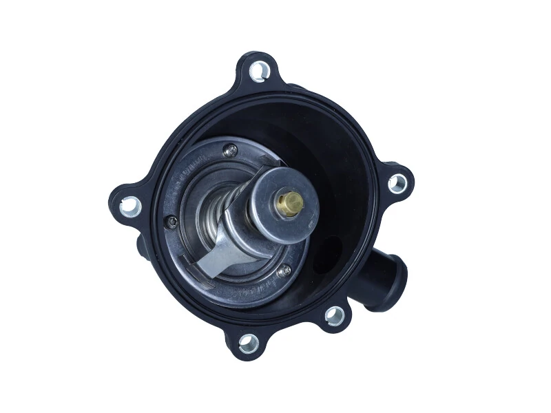Termostat,lichid racire