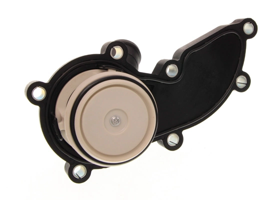Termostat,lichid racire