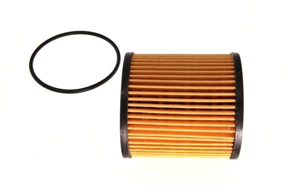 Filtru combustibil