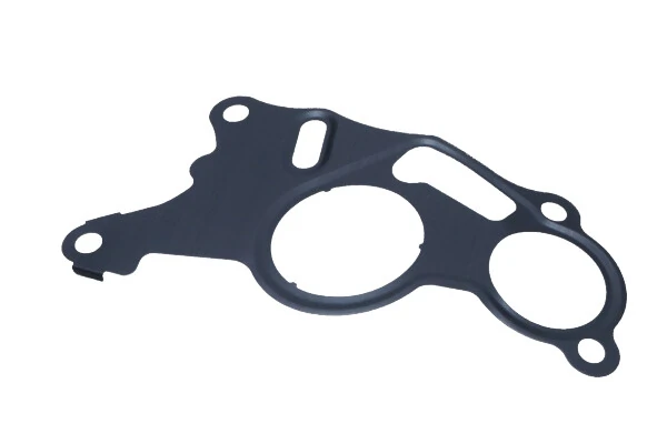 Garnitura, pompa vacuum