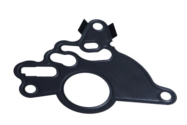 Garnitura, pompa vacuum