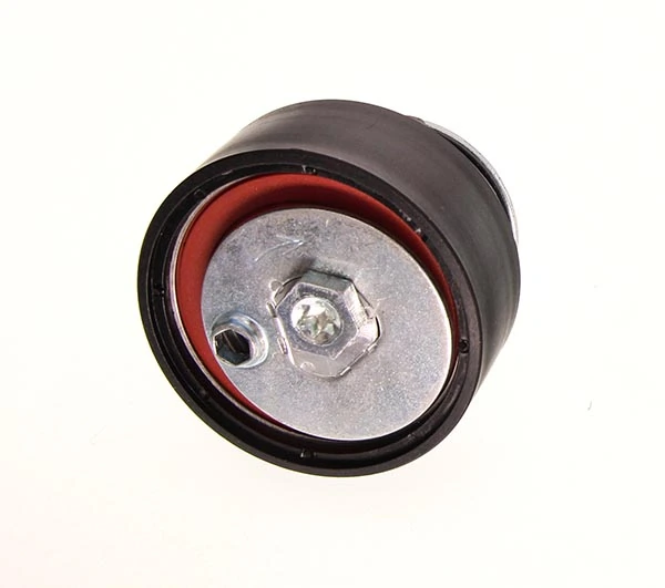 Rola intinzator,curea distributie