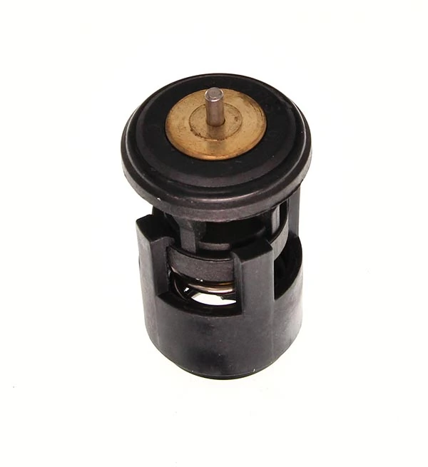 Termostat,lichid racire