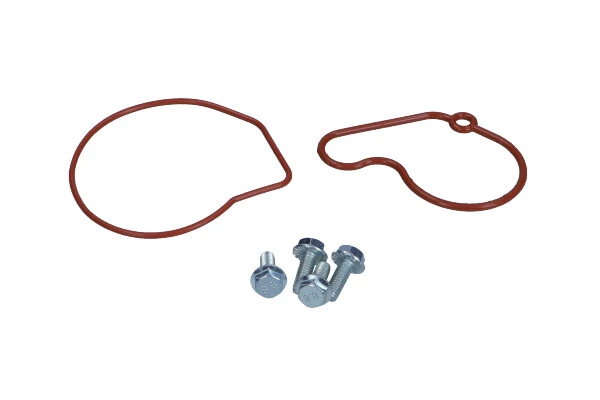 Set reparatie, pompa vacuum (siste frana)