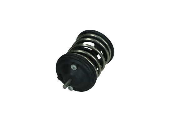 Termostat,lichid racire