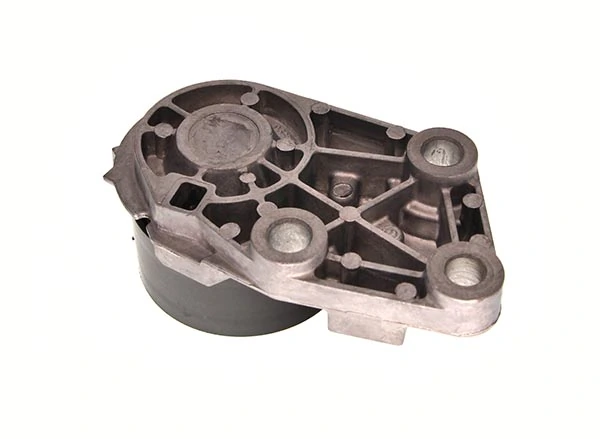 Rola intinzator,curea distributie