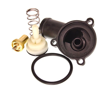 Termostat,lichid racire