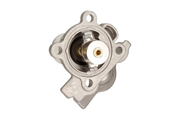 Termostat,lichid racire
