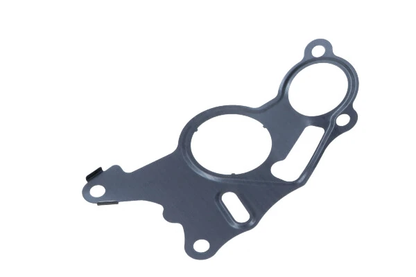 Garnitura, pompa vacuum