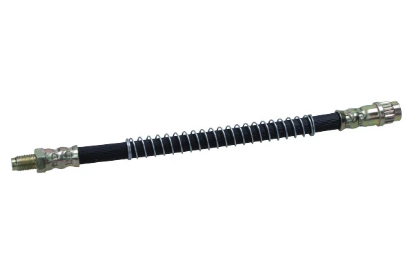 Furtun frana