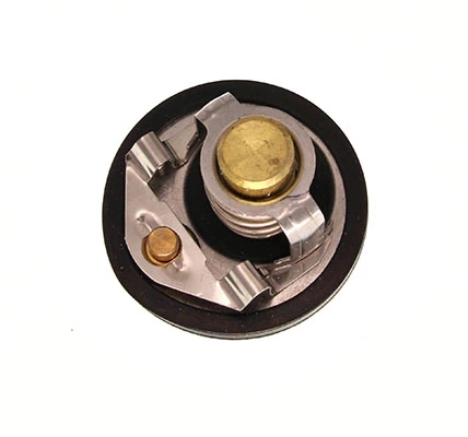 Termostat,lichid racire