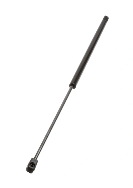 Amortizor capota