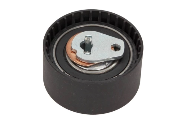 Rola intinzator,curea distributie