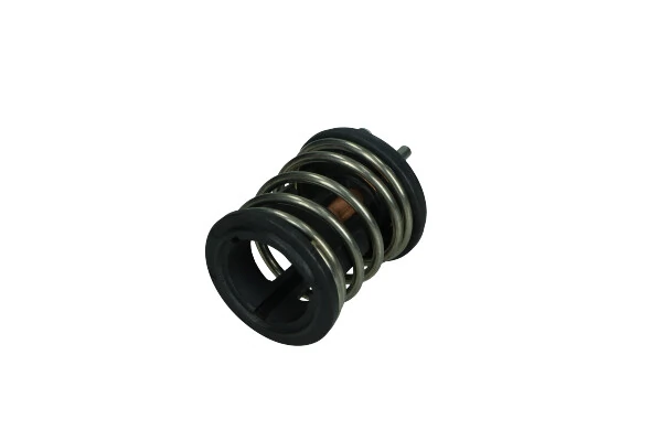 Termostat,lichid racire