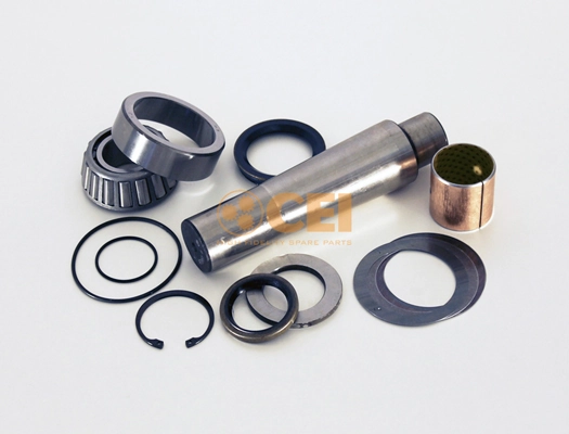 Set reparatie pivot