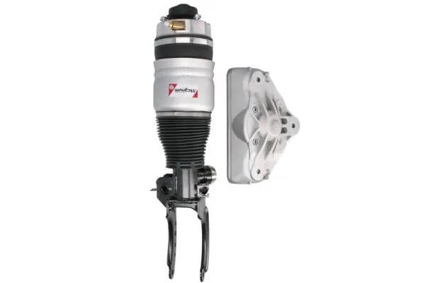 Brat arc pneumatic