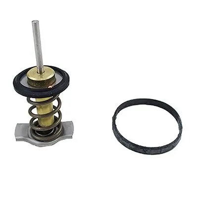 Termostat lichid racire