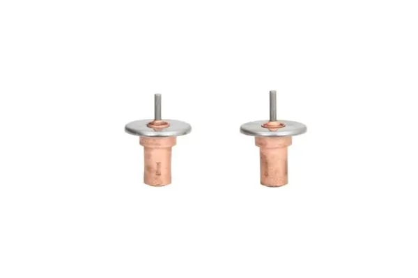 Termostat lichid racire