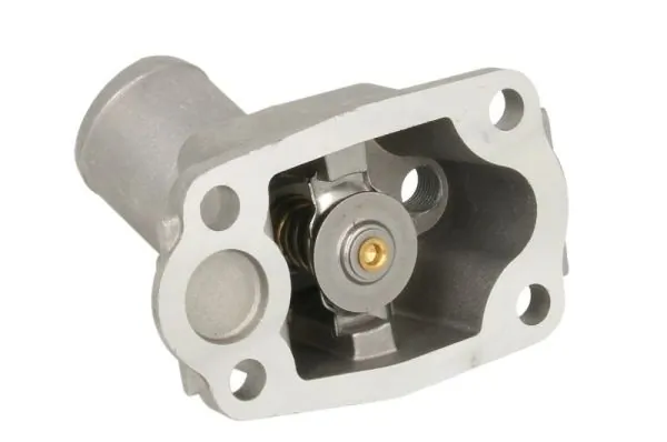 Termostat lichid racire