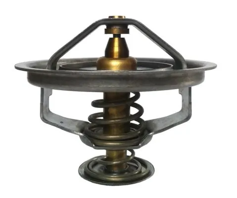 Termostat lichid racire