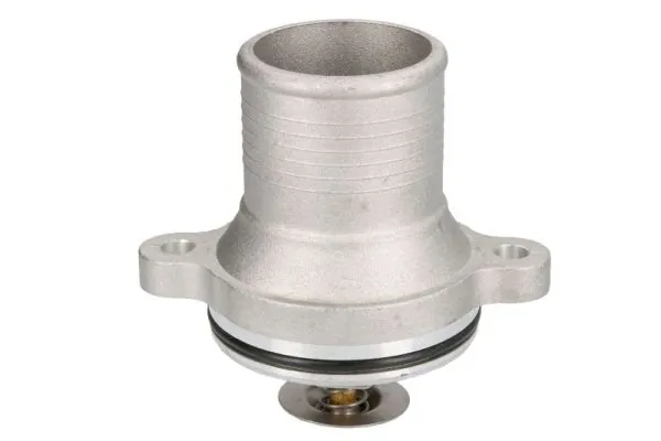 Termostat lichid racire