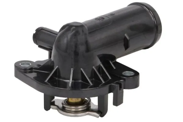 Termostat lichid racire