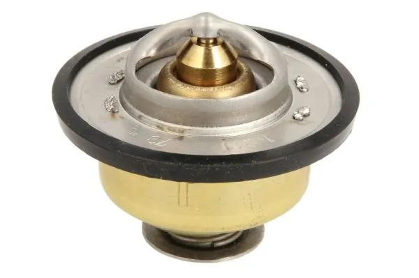 Termostat lichid racire