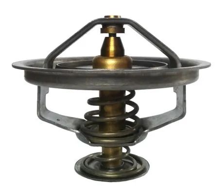 Termostat lichid racire