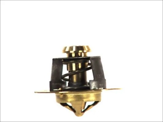 Termostat lichid racire