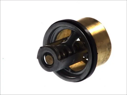 Termostat lichid racire