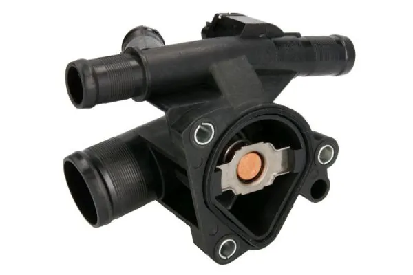 Termostat lichid racire