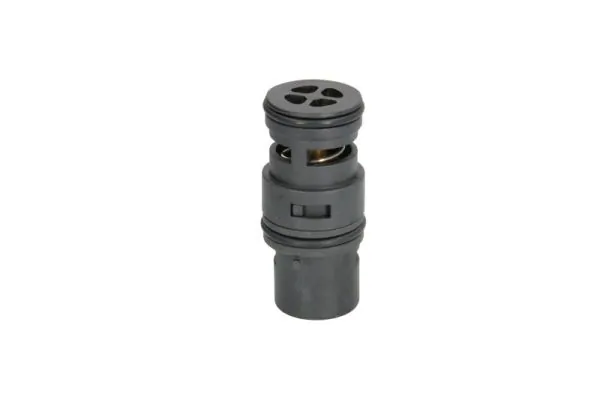 Termostat lichid racire