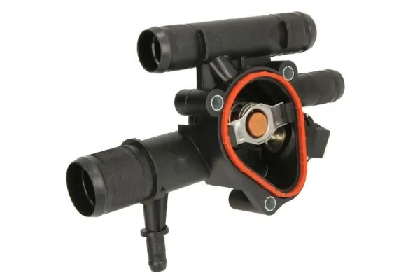 Termostat lichid racire