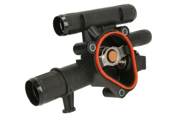 Termostat lichid racire