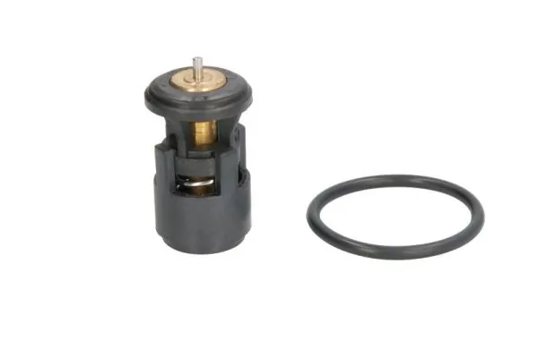 Termostat lichid racire