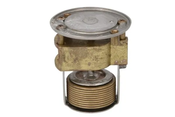 Termostat lichid racire