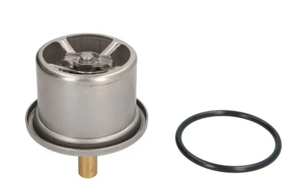 Termostat lichid racire