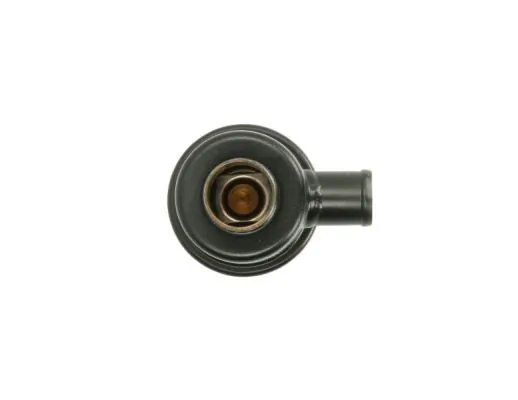Termostat lichid racire