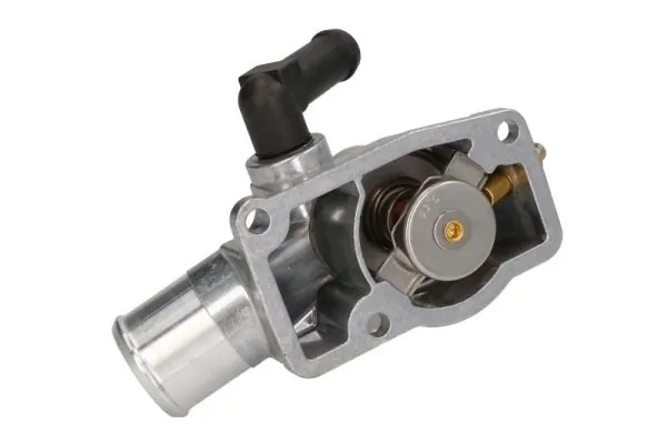 Termostat lichid racire