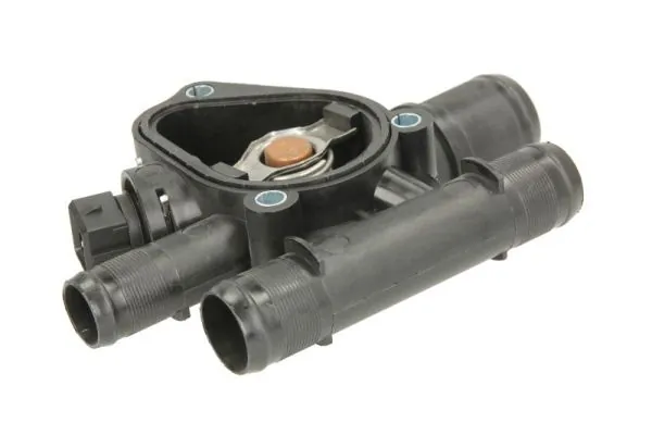 Termostat lichid racire