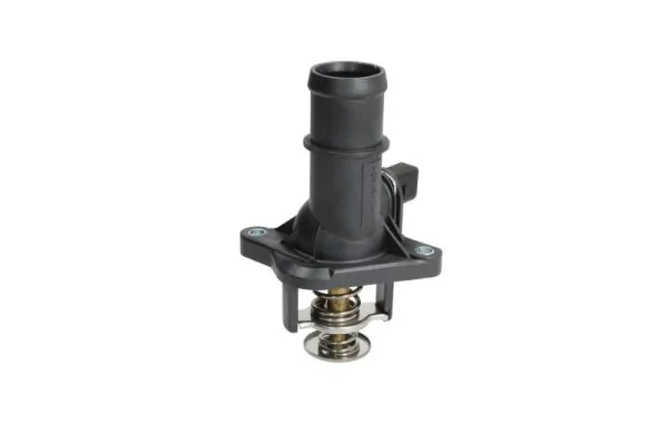 Termostat lichid racire