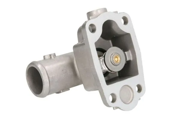 Termostat lichid racire