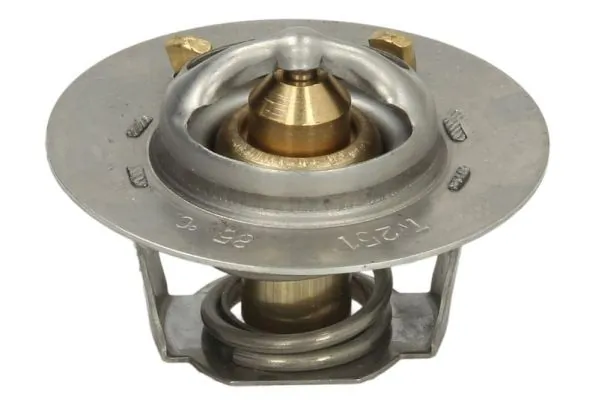 Termostat lichid racire