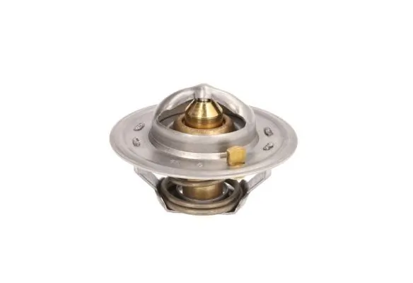 Termostat lichid racire