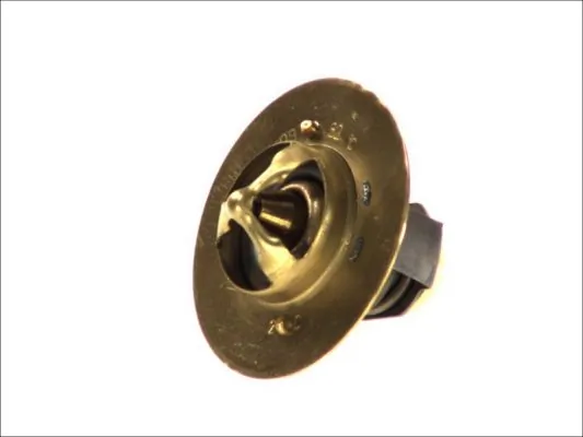 Termostat lichid racire