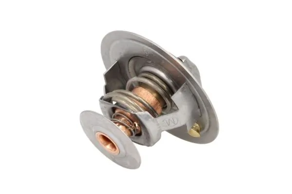 Termostat lichid racire