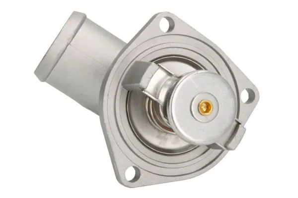 Termostat lichid racire