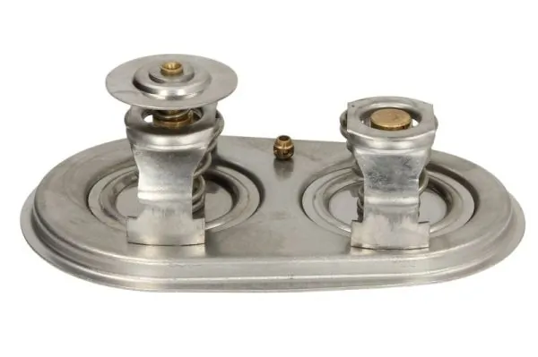 Termostat lichid racire