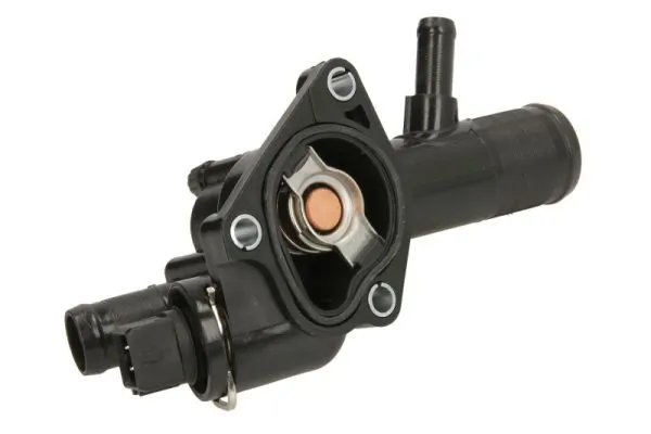 Termostat lichid racire