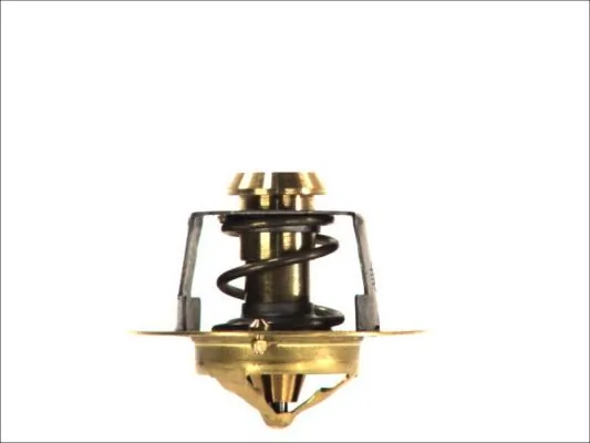 Termostat lichid racire